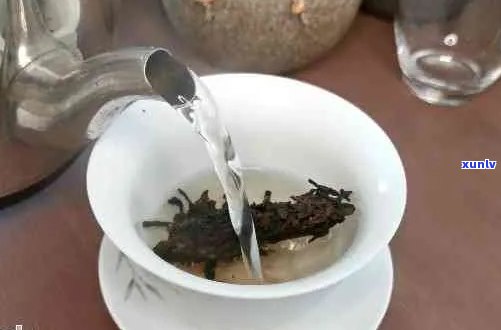 全面掌握熟普洱茶饼泡法：水、时间、器具与品鉴技巧一应俱全