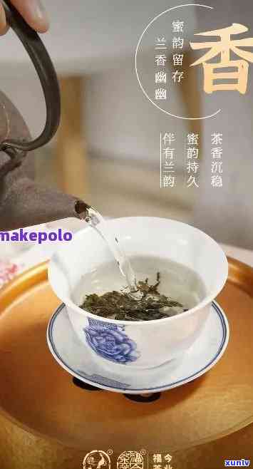 福今普洱茶吧贴吧：探索普洱茶的魅力与品鉴技巧，解答您的所有疑问