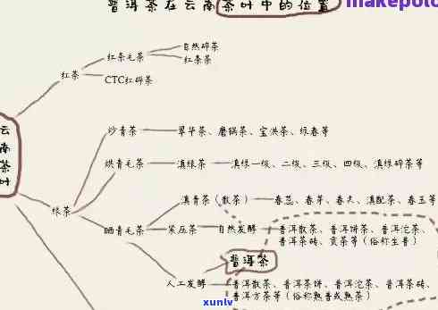 探究普洱茶世界：十个必不可少的阅读指南