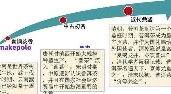 探究普洱茶世界：十个必不可少的阅读指南