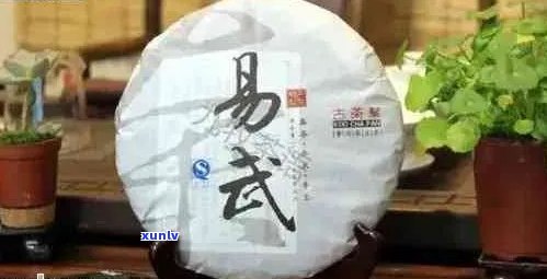 易武普洱茶市场价格解析：每斤多少钱？