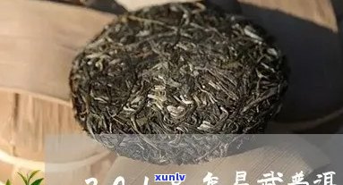 易武普洱茶最新消息