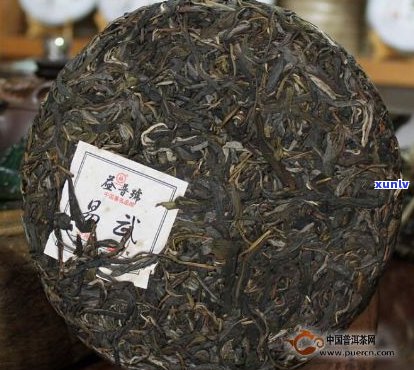 易武普洱茶最新消息