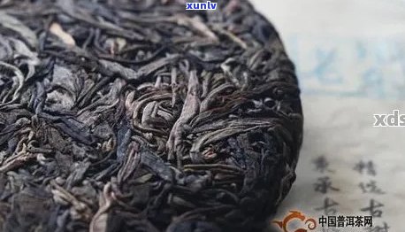 老仓普洱茶价格是多少：一斤多少钱？