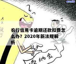 农行信用卡40元逾期利息新法规：2020年逾期利息计算方式及金额解析