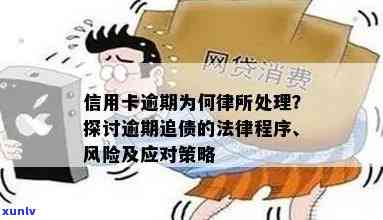 信用卡逾期如何规避法律诉讼风险：实用指南