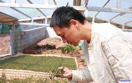 探究价值十几万的普洱茶：独特风味、历背景与收藏意义