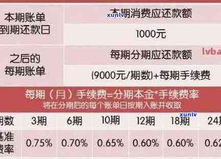 信用卡逾期还款策略：如何应对多次逾期记录？