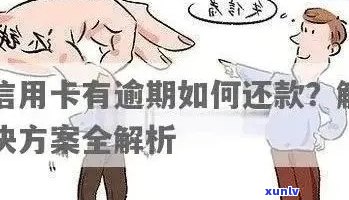 翡翠肉的含义、象征及用途：探索这一珍贵食材的多重内涵