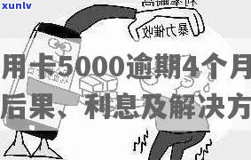 信用卡逾期5000元：解决方案、影响与补救措全面解析