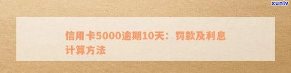 信用卡5000逾期10天罚款多少：逾期还款与影响详解