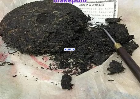 普洱茶饼：撬碎还是不撬碎？ - 关于普洱茶饮用的个人体验和建议