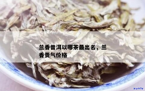 兰香普洱以哪茶最出名：探究其贵气与价格，以及生茶特点