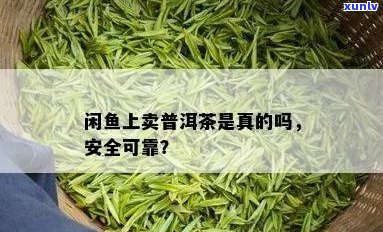 如何判断闲鱼上的普洱茶是否靠谱？购买普洱茶时需注意哪些因素？