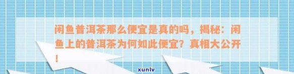 如何判断闲鱼上的普洱茶是否靠谱？购买普洱茶时需注意哪些因素？