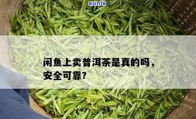 闲鱼卖普洱茶靠谱吗