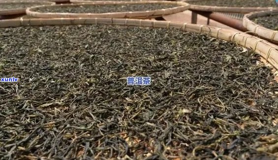 '三明熟普洱茶代加工厂家 *** 地址与生产流程'