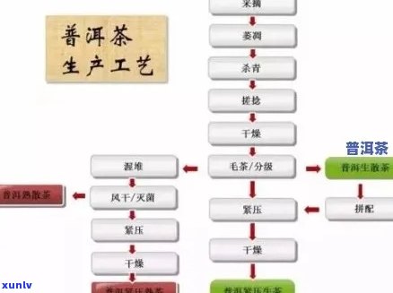 普洱茶代加工厂：厂家名录与加工流程解析