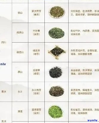 绿茶品种与价格对比：探索满庭芳茶叶的市场定位与价值