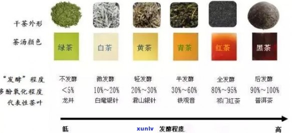 绿茶品种与价格对比：探索满庭芳茶叶的市场定位与价值