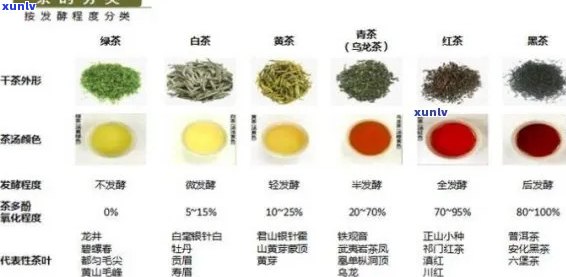 绿茶品种与价格对比：探索满庭芳茶叶的市场定位与价值