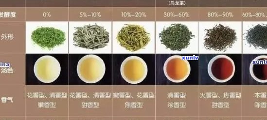 华祥苑钓鱼台茶叶品质评价：口感与耐泡度的深度剖析