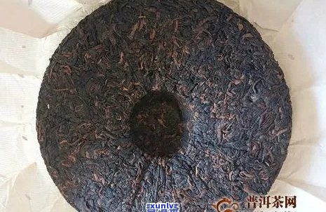 新普洱茶发现虫洞，正确处理方式你知道吗？