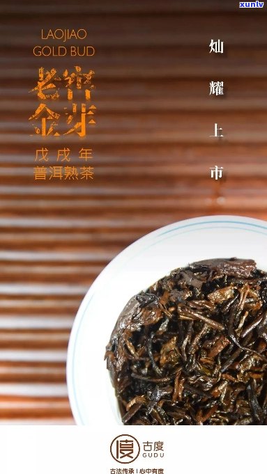 熟普洱茶怎么看金芽