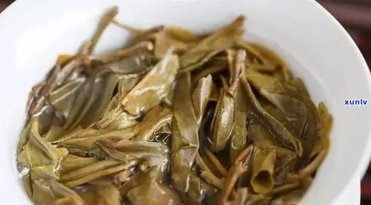 熟普洱茶的陈化时间：探讨不同年份熟普洱茶的风味差异与品鉴技巧