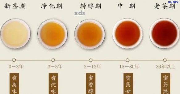 熟普洱茶的陈化时间：探讨不同年份熟普洱茶的风味差异与品鉴技巧