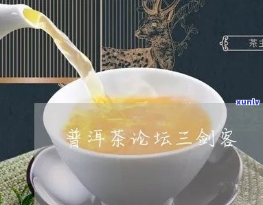 普洱茶三剑客：迷帝、高端与三笠的传奇故事