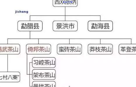 四大普洱茶：品种、产地、 *** 工艺和品鉴 *** 的全面解析