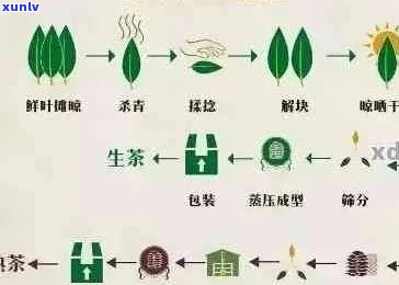 四大普洱茶：品种、产地、 *** 工艺和品鉴 *** 的全面解析