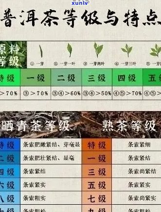 四大普洱茶：品种、产地、 *** 工艺和品鉴 *** 的全面解析