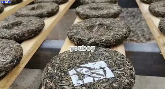 四大普洱茶：品种、产地、 *** 工艺和品鉴 *** 的全面解析