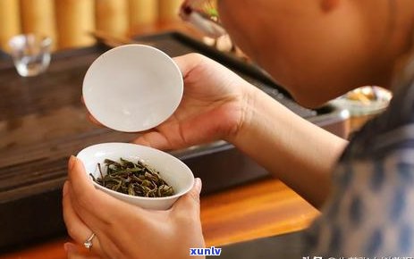 普洱茶凉了怎么泡？可以重新泡吗？如何保持茶叶的口感和香气？