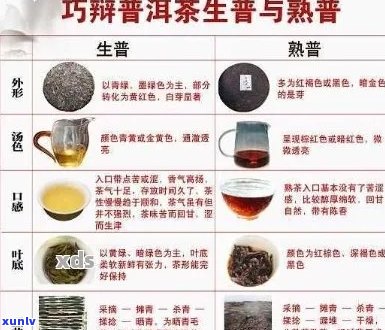 优质普洱茶的种类与鉴别 *** ：从产地、工艺到口感的综合解析