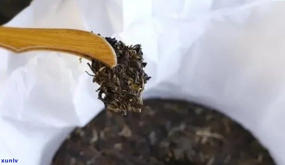 好的普洱茶真实面貌：何种颜色、样式？