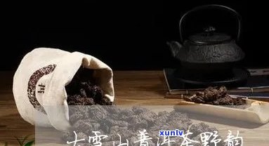 超翔号大雪山普洱茶：纯净源产地，古朴风情与独特醇厚的完美融合