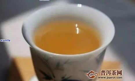 普洱茶之旅：卖一碗茶的奇遇与感悟