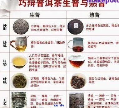 全面解析千山一叶普洱茶：原料质量、产地特点及 *** 工艺