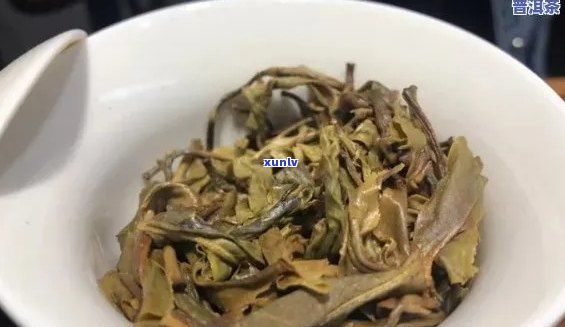 千山一叶大益茶：全面解析原料、 *** 工艺与口感特点，满足你的品茶好奇心