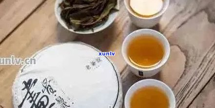 易武普洱茶的价格解析，从品质到产地的全面了解