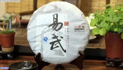 易武普洱茶的价格解析，从品质到产地的全面了解