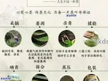 勐库丰腾古树普洱茶：品种、产地、品质、冲泡 *** 及口感全方位解析