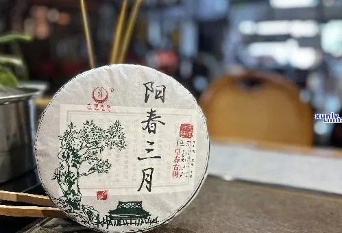 阳春三月茶饼801:品质、 *** 工艺与口感的全面解析