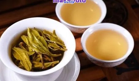 普洱茶一支是多少片的：普洱茶叶子、茶叶和克数的计算 *** 