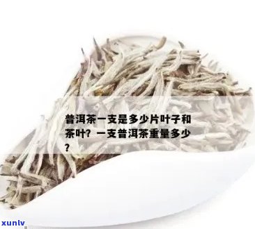 普洱茶一支是多少片的：普洱茶叶子、茶叶和克数的计算 *** 