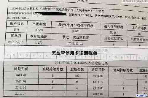 信用卡逾期记录查询指南：如何查看报告中的逾期次数与详细信息