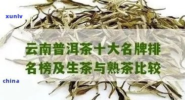 当下最火十大普洱茶